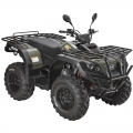 Quad ATV Off Road 4x4 300cc vert 