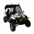 UTV Side By Side Off Road 300 