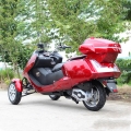 300CC 3 roues Trike Scooter de gaz 