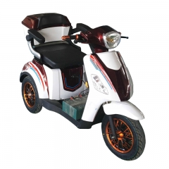 Mobilty Scooter pour handicapé 500w