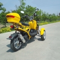 50cc 3 roues gaz Scooter Trike circuit 