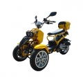 50cc 3 roues gaz Scooter Trike circuit 