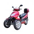 Moteur de Trike Scooter 50cc pour les adultes 