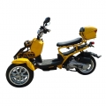 50cc 3 roues gaz Scooter Trike circuit 