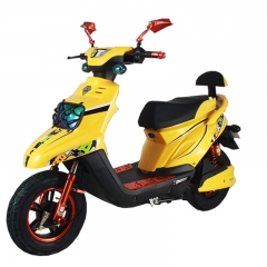 Scooter moto électrique 800W
